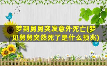 梦到舅舅突发意外死亡(梦见舅舅突然死了是什么预兆)