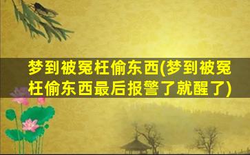 梦到被冤枉偷东西(梦到被冤枉偷东西最后报警了就醒了)