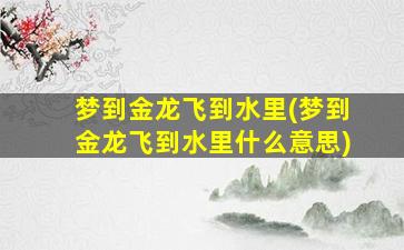 梦到金龙飞到水里(梦到金龙飞到水里什么意思)