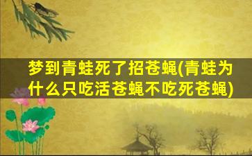 梦到青蛙死了招苍蝇(青蛙为什么只吃活苍蝇不吃死苍蝇)