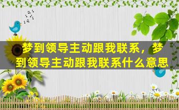 梦到领导主动跟我联系，梦到领导主动跟我联系什么意思