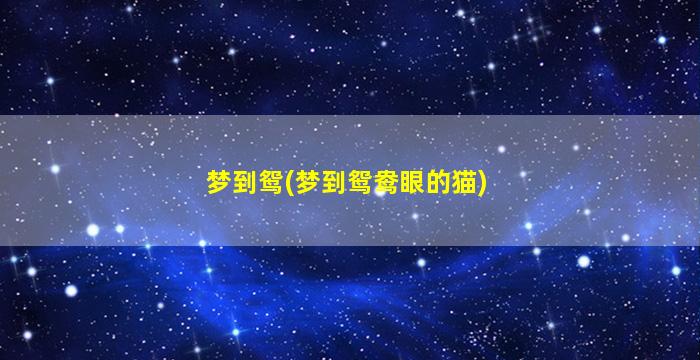 梦到鸳(梦到鸳鸯眼的猫)