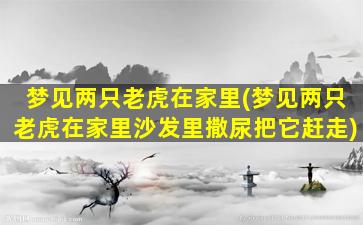 梦见两只老虎在家里(梦见两只老虎在家里沙发里撒尿把它赶走)