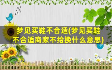 梦见买鞋不合适(梦见买鞋不合适商家不给换什么意思)