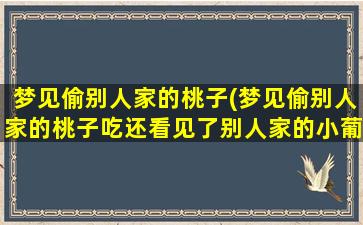 梦见偷别人家的桃子(梦见偷别人家的桃子吃还看见了别人家的小葡萄苗)