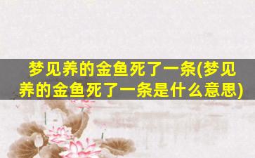 梦见养的金鱼死了一条(梦见养的金鱼死了一条是什么意思)