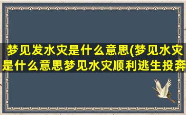 梦见发水灾是什么意思(梦见水灾是什么意思梦见水灾顺利逃生投奔人家的怀抱)