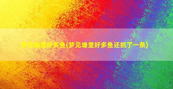 梦见塘里好多鱼(梦见塘里好多鱼还抓了一条)