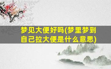 梦见大便好吗(梦里梦到自己拉大便是什么意思)