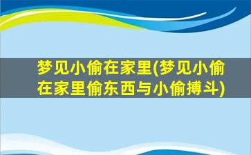 梦见小偷在家里(梦见小偷在家里偷东西与小偷搏斗)