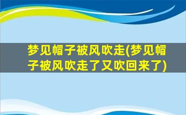 梦见帽子被风吹走(梦见帽子被风吹走了又吹回来了)