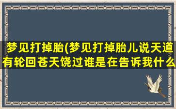 梦见打掉胎(梦见打掉胎儿说天道有轮回苍天饶过谁是在告诉我什么)