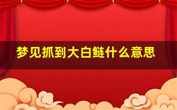 梦见抓到大白鲢什么意思