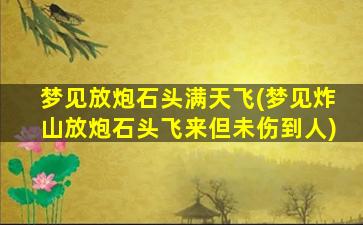 梦见放炮石头满天飞(梦见炸山放炮石头飞来但未伤到人)