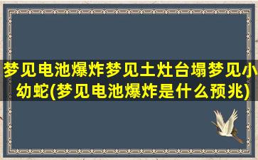 梦见电池爆炸梦见土灶台塌梦见小幼蛇(梦见电池爆炸是什么预兆)