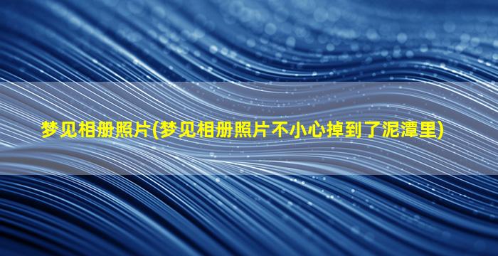 梦见相册照片(梦见相册照片不小心掉到了泥潭里)