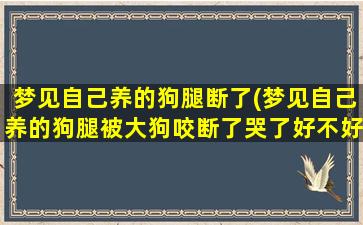 梦见自己养的狗腿断了(梦见自己养的狗腿被大狗咬断了哭了好不好)