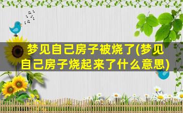 梦见自己房子被烧了(梦见自己房子烧起来了什么意思)