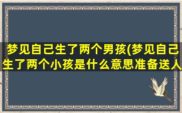 梦见自己生了两个男孩(梦见自己生了两个小孩是什么意思准备送人)