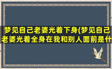 梦见自己老婆光着下身(梦见自己老婆光着全身在我和别人面前是什么意思)