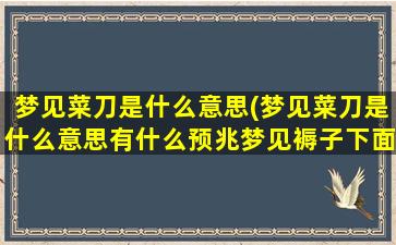 梦见菜刀是什么意思(梦见菜刀是什么意思有什么预兆梦见褥子下面一把菜刀)