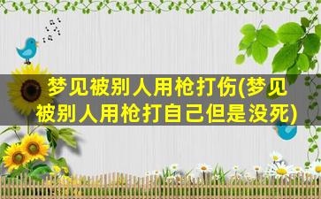 梦见被别人用枪打伤(梦见被别人用枪打自己但是没死)