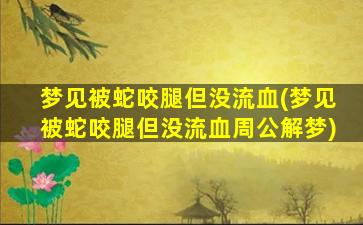 梦见被蛇咬腿但没流血(梦见被蛇咬腿但没流血周公解梦)