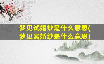 梦见试婚纱是什么意思(梦见买婚纱是什么意思)