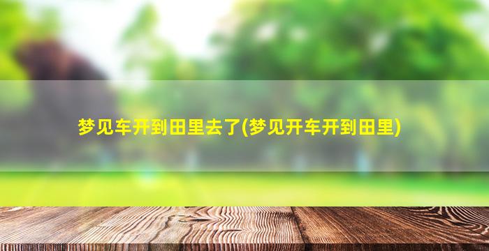 梦见车开到田里去了(梦见开车开到田里)