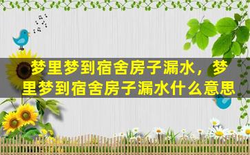 梦里梦到宿舍房子漏水，梦里梦到宿舍房子漏水什么意思