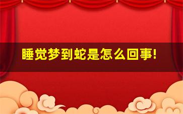 睡觉梦到蛇是怎么回事!