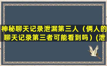 神秘聊天记录泄漏第三人（俩人的聊天记录第三者可能看到吗）(泄漏他人聊天记录)