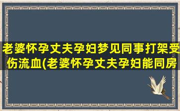 老婆怀孕丈夫孕妇梦见同事打架受伤流血(老婆怀孕丈夫孕妇能同房吗)