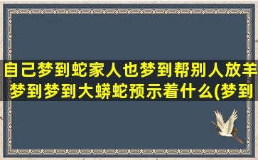 自己梦到蛇家人也梦到帮别人放羊梦到梦到大蟒蛇预示着什么(梦到蛇一家人)