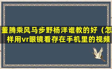 董腾乘风马步野杨洋谁教的好（怎样用vr眼镜看存在手机里的视频）