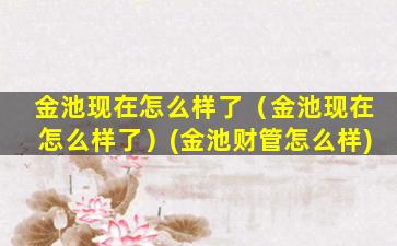 金池现在怎么样了（金池现在怎么样了）(金池财管怎么样)