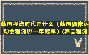 韩国程潇时代是什么（韩国偶像运动会程潇哪一年冠军）(韩国程潇时代是什么)