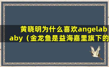 黄晓明为什么喜欢angelababy（金龙鱼是益海嘉里旗下的公司吗）(黄晓明为什么喜欢放牛不喜欢放羊)